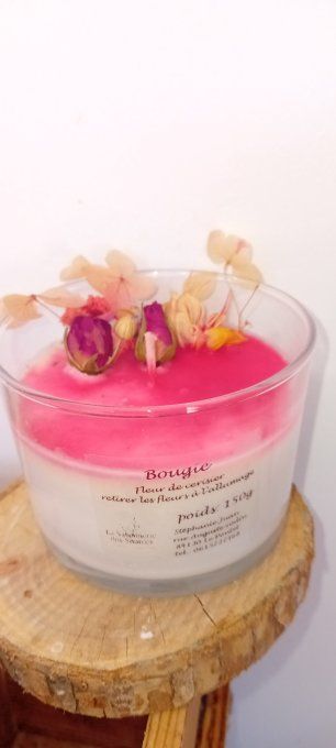 liégeois fleur de cerisier
