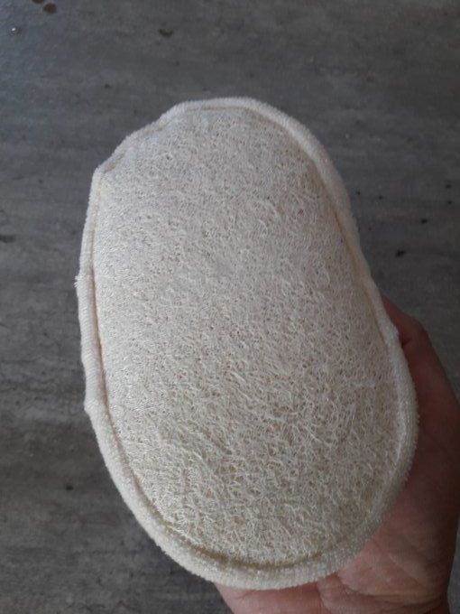 Eponge en luffa naturelle